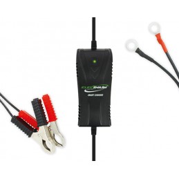 Chargeur Maintien De Charge...