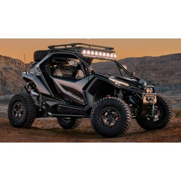 Gallerie De Toit Cfmoto Z10...