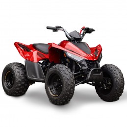 Quad Enfant / Ados Hytrack...