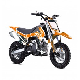 PIT BIKE 50CC BASTOS L50...