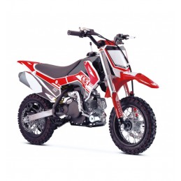 PIT BIKE 50CC BASTOS L50...